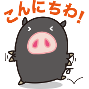 Mr.KUROBUTA 2