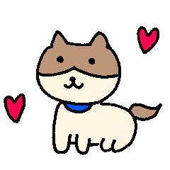 everydaydog