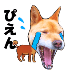 Shiba Inu and other dogs hybrid stickers