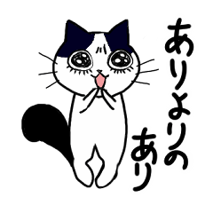 Shita eyelash cat youth words