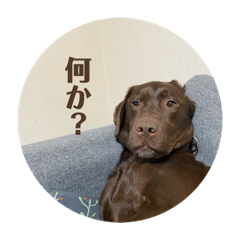 kazuki_20200604165207