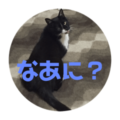 YUKINA2_20200604191317