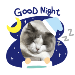 Satoshi_20200604225423