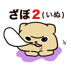 Zabo2(dog)