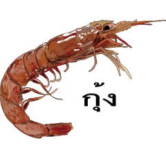 Shrimp Thai version