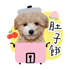 奶油貴賓Oreo