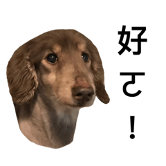 查理王子碎碎唸