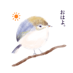 Round handwritten bird