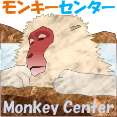 Monkey Center
