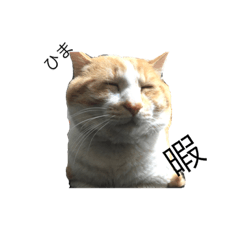 u_ne2