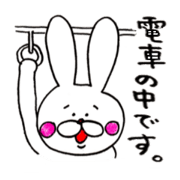 Rabbit name USA 2