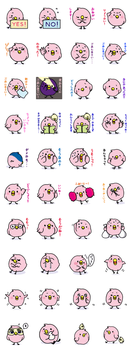 A pink chick