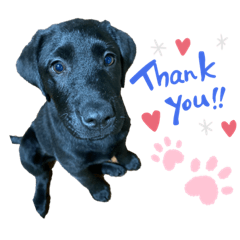 kurumi_20200604202019