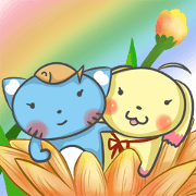socks doggy & bento cat