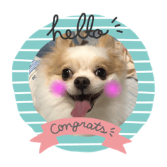 Cherry_20200605102247