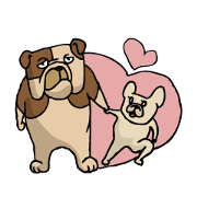 mark&bobo Bulldog