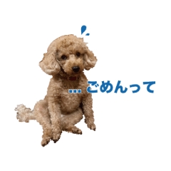 Hanachantoutachan
