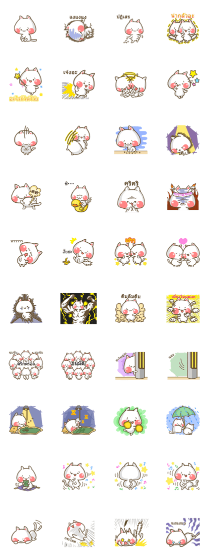 SHOBON cat (Thai)