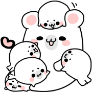 More! Storm of seal