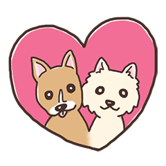 なかよしチワワのチュロとひめ