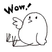 interesting bird