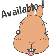 Everyday of my house rabbit