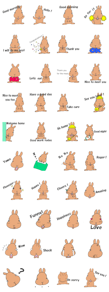Everyday of my house rabbit