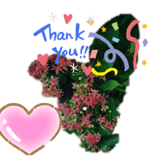 นะและนะ