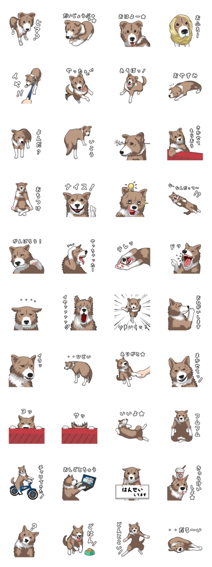 Comical dog sticker