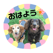 haruge_20200605144712