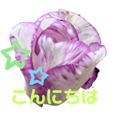 Kazumi_20200520205359