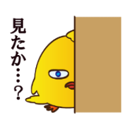 Yellow chick and black chick