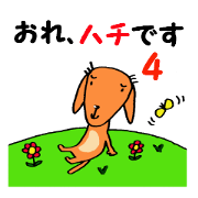 I am hachi.4.