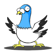 pigeon communicate