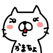 JK CAT