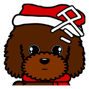 Pretty poodle(Winter)
