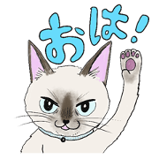 cat ''neco''sticker