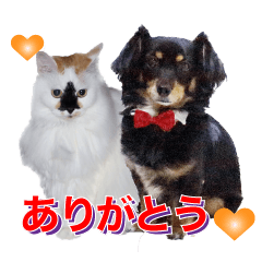 我が家の可愛いワンニャンスタンプ