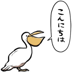 talking pelican