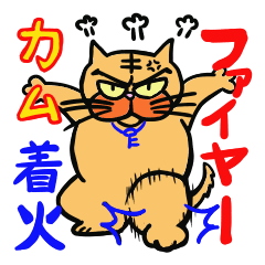 捨て猫”六三郎” 6 ～JK語集～