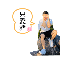 愛豬豬