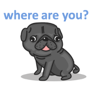 Kuro Pug