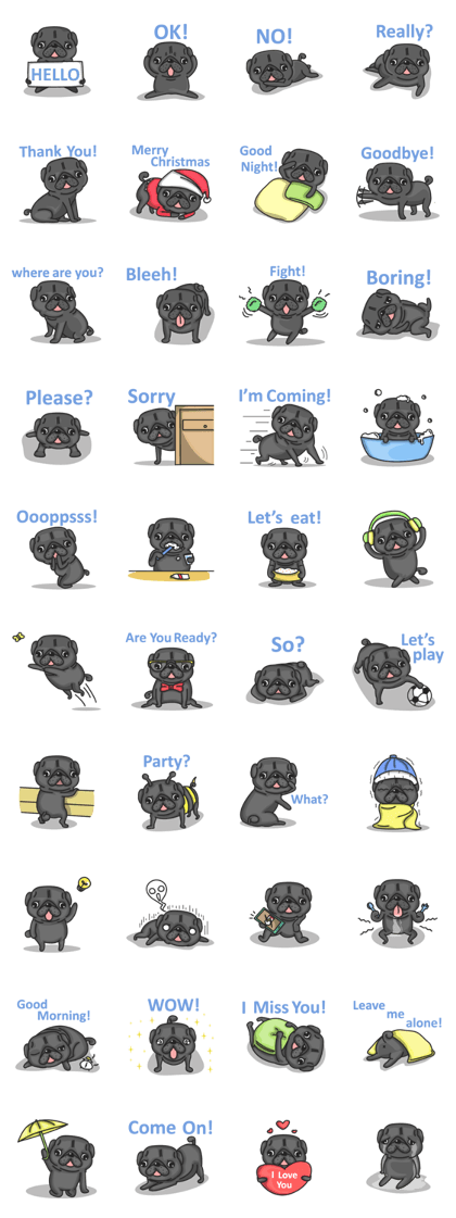 Kuro Pug