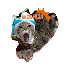 hiroki_20200605042939