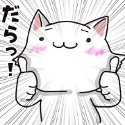 Shizuoka-ben cat