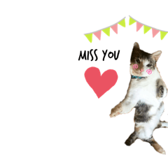 Nongmeowsocute_20200531094309