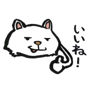 Face only cat