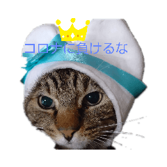 hiroki_20200605173559