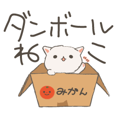 Cat in Cardboard