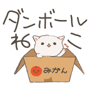 Cat in Cardboard